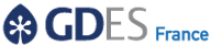 GD ENERGY SERVICES logo