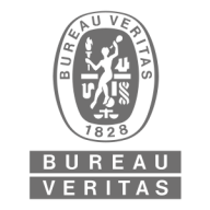 BUREAU VERITAS SERVICES logo