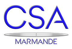 CSA logo